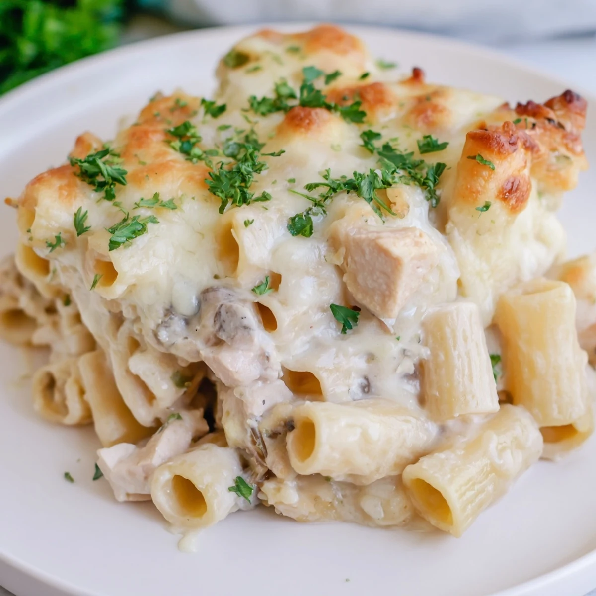 Golden, bubbly Chicken Alfredo Bake with tender chicken, pasta and a comforting, creamy sauce.